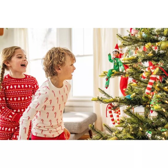 NEW Elf on the Shelf a Christmas Tradition Limited 20th Anniversary Edition - Picture 10 of 15